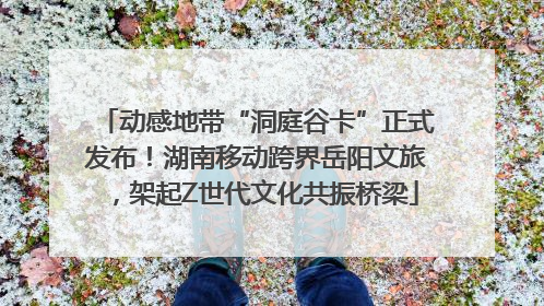 动感地带“洞庭谷卡”正式发布！湖南移动跨界岳阳文旅，架起Z世代文化共振桥梁