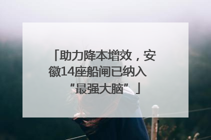 助力降本增效，安徽14座船闸已纳入“最强大脑”