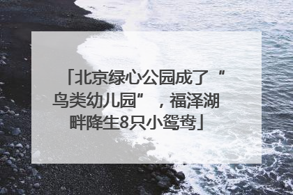 北京绿心公园成了“鸟类幼儿园”，福泽湖畔降生8只小鸳鸯