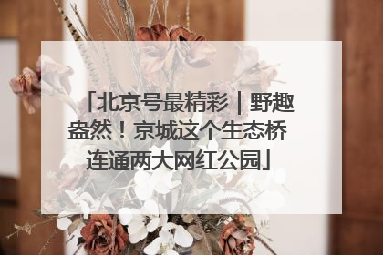 北京号最精彩｜野趣盎然！京城这个生态桥连通两大网红公园