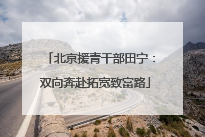 北京援青干部田宁：双向奔赴拓宽致富路