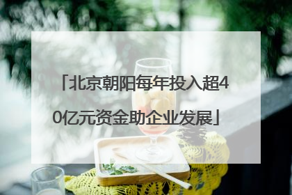 北京朝阳每年投入超40亿元资金助企业发展