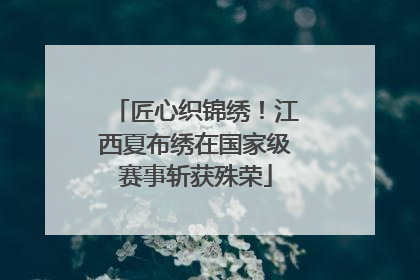 匠心织锦绣！江西夏布绣在国家级赛事斩获殊荣