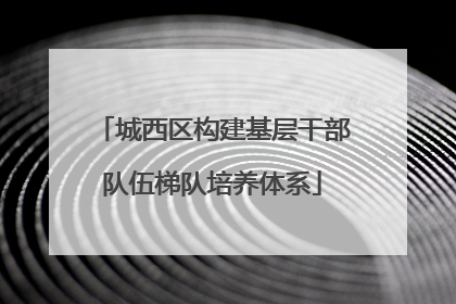 城西区构建基层干部队伍梯队培养体系