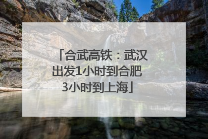 合武高铁：武汉出发1小时到合肥3小时到上海