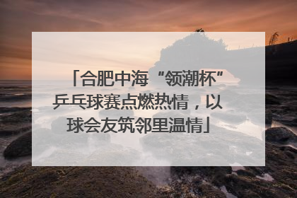 合肥中海“领潮杯”乒乓球赛点燃热情，以球会友筑邻里温情