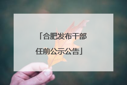 合肥发布干部任前公示公告