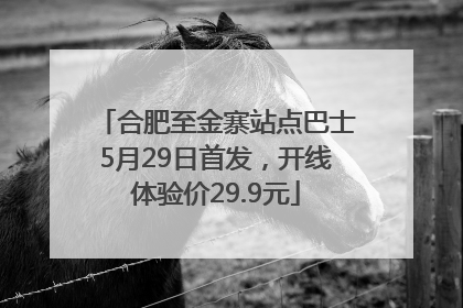 合肥至金寨站点巴士5月29日首发，开线体验价29.9元