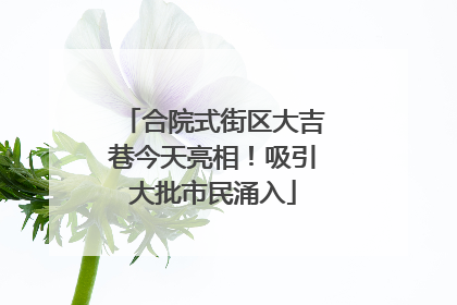 合院式街区大吉巷今天亮相！吸引大批市民涌入