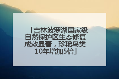 吉林波罗湖国家级自然保护区生态修复成效显著，珍稀鸟类10年增加5倍