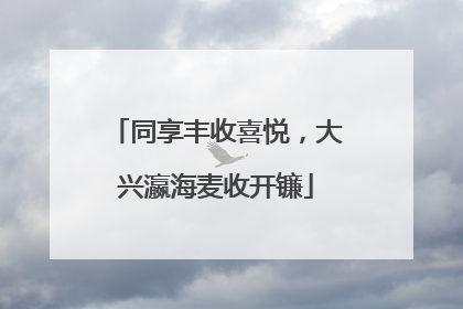 同享丰收喜悦，大兴瀛海麦收开镰