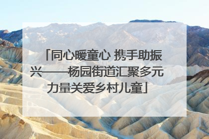同心暖童心 携手助振兴——杨园街道汇聚多元力量关爱乡村儿童