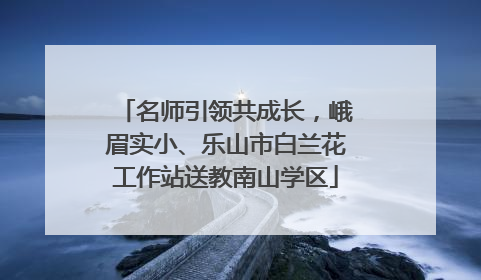 名师引领共成长，峨眉实小、乐山市白兰花工作站送教南山学区