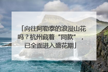 向往阿勒泰的浪漫山花吗？杭州藏着“同款”，已全面进入盛花期