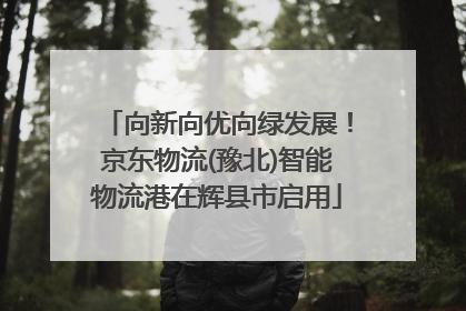 向新向优向绿发展！京东物流(豫北)智能物流港在辉县市启用