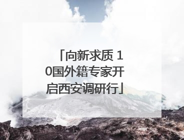 向新求质 10国外籍专家开启西安调研行