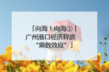 向海！向海③丨广州港口经济释放“乘数效应”