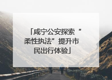 咸宁公安探索“柔性执法”提升市民出行体验