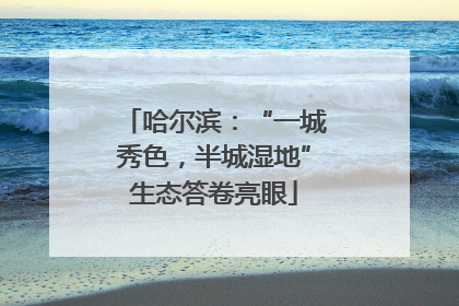 哈尔滨：“一城秀色，半城湿地”生态答卷亮眼