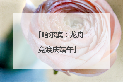 哈尔滨：龙舟竞渡庆端午