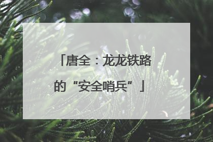 唐全：龙龙铁路的“安全哨兵”