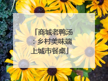 商城老鸭汤：乡村美味端上城市餐桌