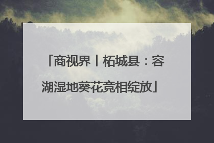 商视界丨柘城县：容湖湿地葵花竞相绽放
