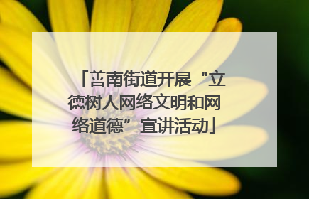 善南街道开展“立德树人网络文明和网络道德”宣讲活动