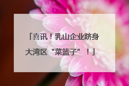 喜讯！乳山企业跻身大湾区“菜篮子”！