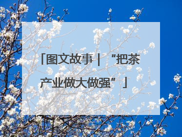 图文故事｜“把茶产业做大做强”