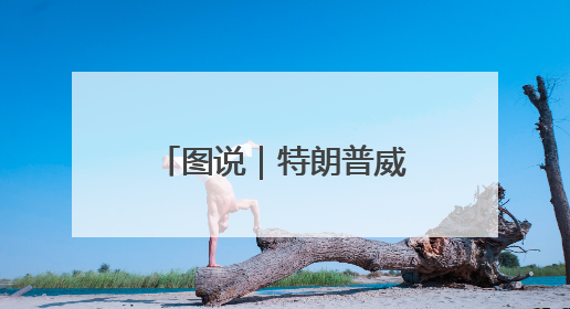 图说｜特朗普威胁对欧盟征收50%的关税，欧盟面临多重压力