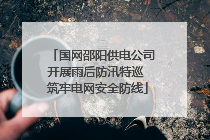 国网邵阳供电公司开展雨后防汛特巡 筑牢电网安全防线
