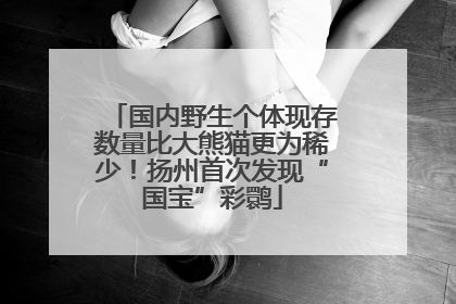 国内野生个体现存数量比大熊猫更为稀少！扬州首次发现“国宝”彩鹮