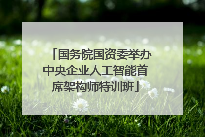 国务院国资委举办中央企业人工智能首席架构师特训班