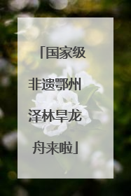 国家级非遗鄂州泽林旱龙舟来啦