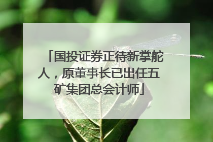 国投证券正待新掌舵人，原董事长已出任五矿集团总会计师