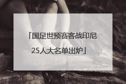 国足世预赛客战印尼25人大名单出炉