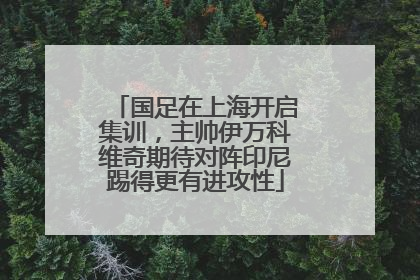 国足在上海开启集训，主帅伊万科维奇期待对阵印尼踢得更有进攻性