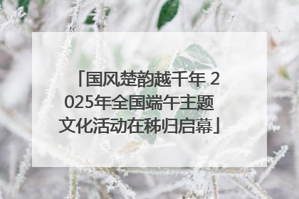 国风楚韵越千年 2025年全国端午主题文化活动在秭归启幕