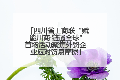 四川省工商联“赋能川商·链通全球”首场活动聚焦外贸企业应对贸易摩擦