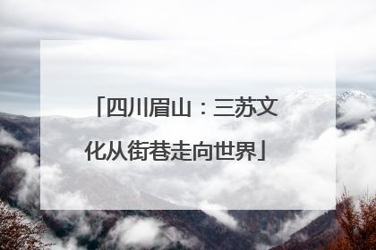 四川眉山：三苏文化从街巷走向世界