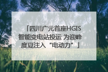 四川广元首座HGIS智能变电站投运 为迎峰度夏注入“电动力”