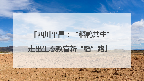 四川平昌：“稻鸭共生”走出生态致富新“稻”路