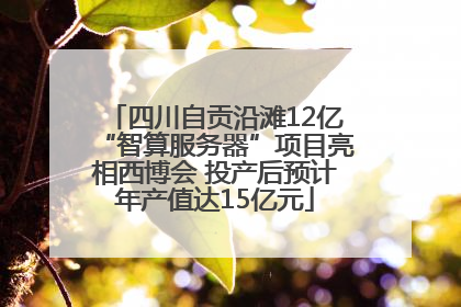 四川自贡沿滩12亿“智算服务器”项目亮相西博会 投产后预计年产值达15亿元
