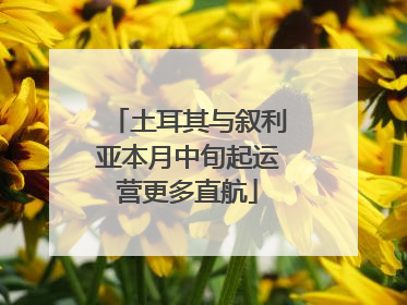 土耳其与叙利亚本月中旬起运营更多直航
