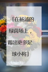 在杨浦的绿茵场上，踢出更多足球小将