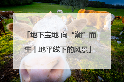 地下宝地 向“潮”而生丨地平线下的风景