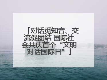 对话觅知音、交流促团结 国际社会共庆首个“文明对话国际日”
