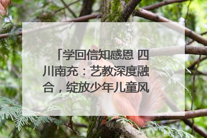 学回信知感恩 四川南充：艺教深度融合，绽放少年儿童风采｜您牵挂的四川