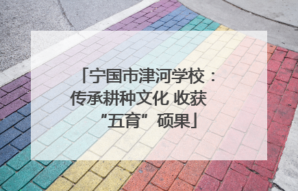 宁国市津河学校：传承耕种文化 收获“五育”硕果